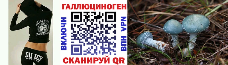 Галлюциногенные грибы Cubensis  Узловая 